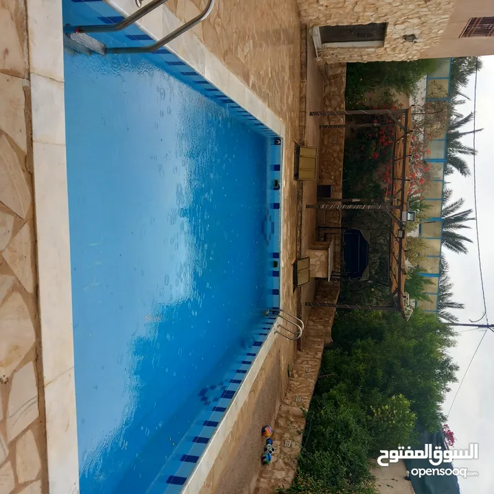 مزرعه للبيع بسعر مغرى
