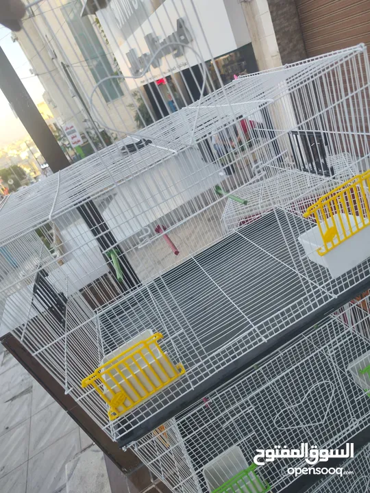 مطير طيور حجم كبير يتسع الى جوز وافراخ ، او عدد كبير من الطيور