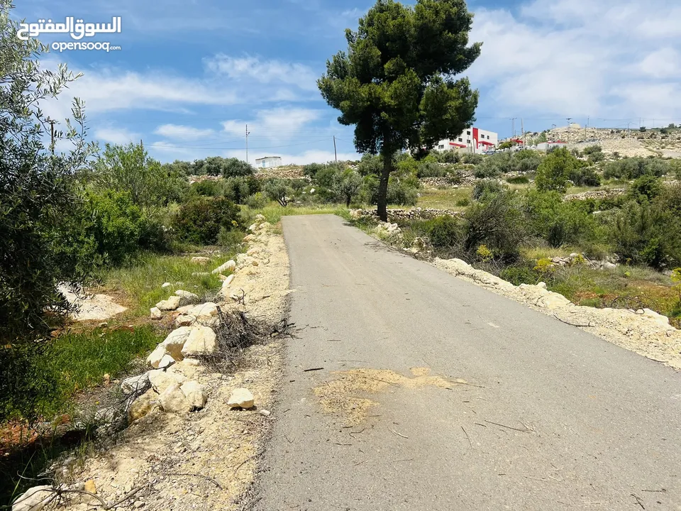 960 م شارع الستين