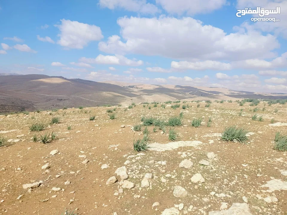 قطعة ارض 3دونمات ونصف فقط  مطلة ومرتفعه واصل جميع خدمات شرق جرش دحل