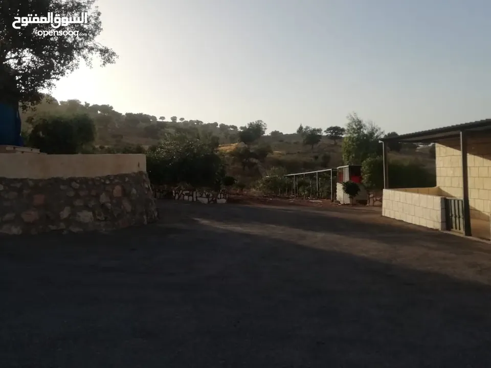 مزرعه 5 دونمات مع شاليه في منطقة العالوك