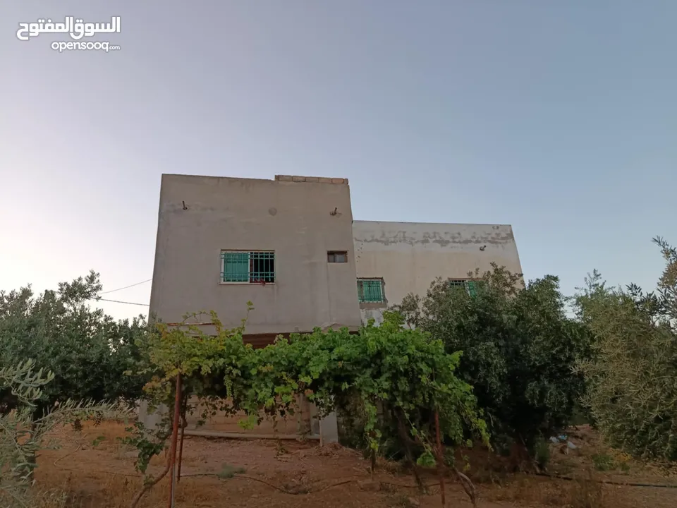 منزل مستقل للبيع