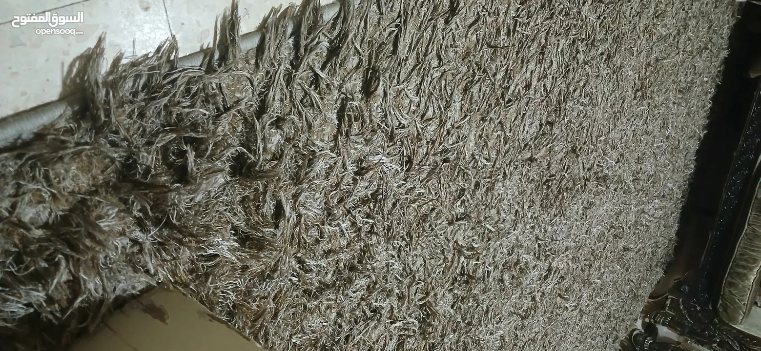 سجاد شاكي مستعمل بحاله جيده