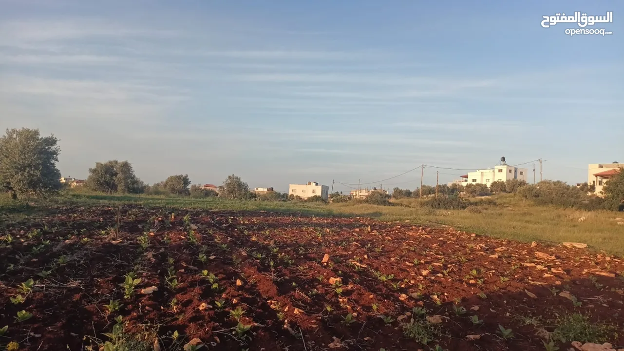 عقار للبيع