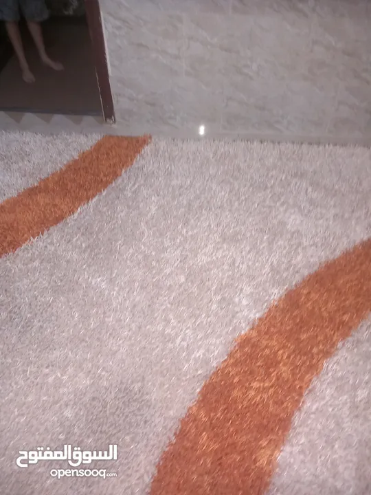سجاد من الوبر العالي نظيفه