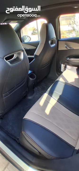 BYD 2023 دولفين