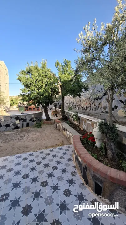 مزرعة وشاليه في جرش