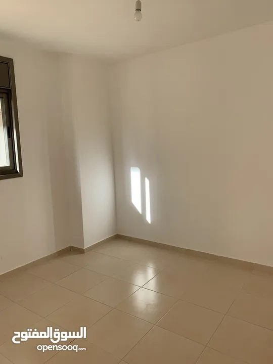 شقق للايجار