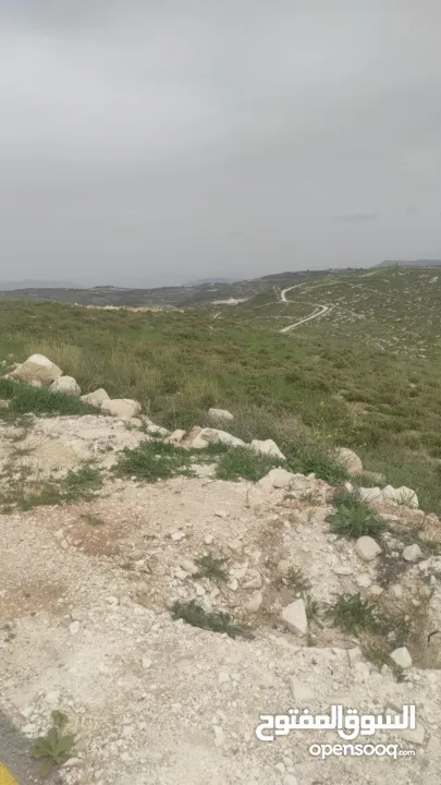 قطعة ارض مربعة الشكل في زواتا