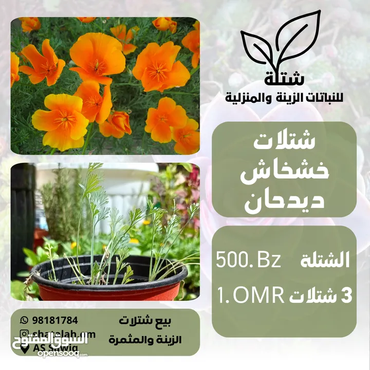 Plants for sale