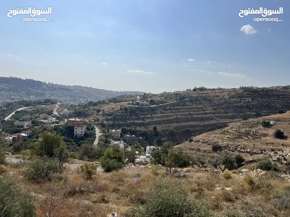 (1)ارض للبيع في الرباحية الجنوبية بمساحة 599 متر منطقة جديدة و هادئة جداً فلل جديدة