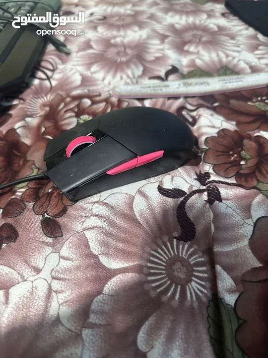 Asus ROG Strix G513