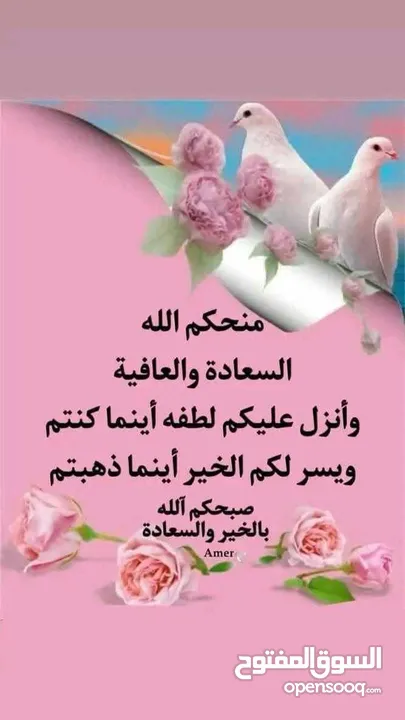 مطلوب كاميرا نيكون z30