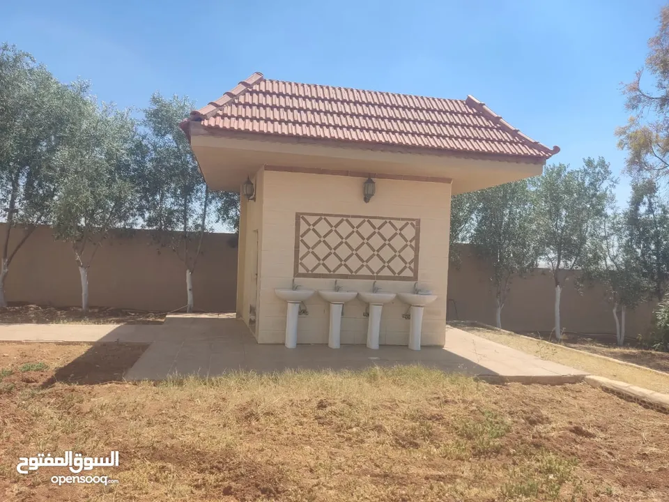مادبا حواره مزرعه للبيع