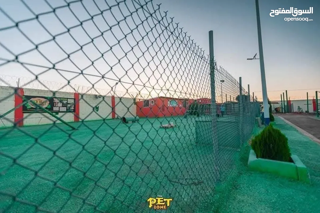 Dog hotel ...