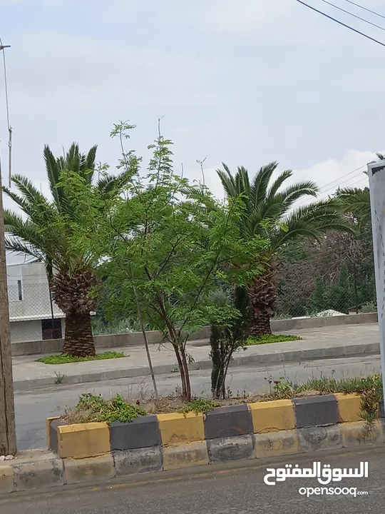 مجمع تجاري للبيع في ماحص