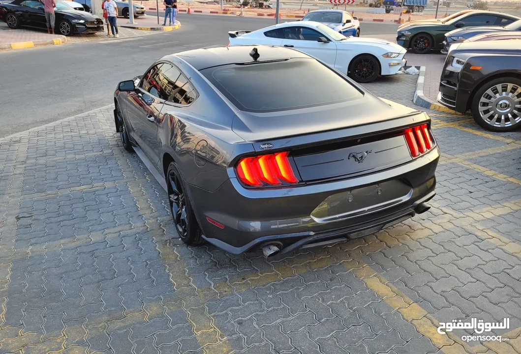 FORD MUSTANG SHELBY KIT ECOBOOST 2020