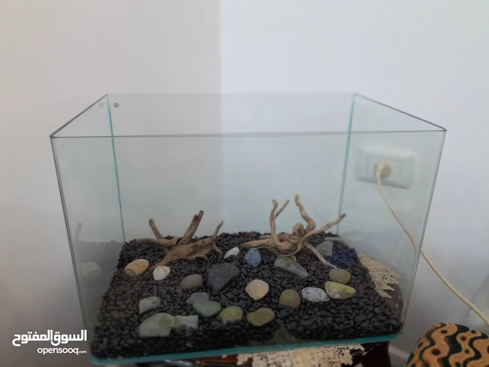 حوض اسماك كريستال
