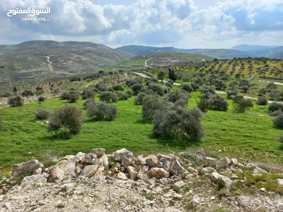 ارض مميزة 5 دونمات باجمل مواقع بيت امرين على قمة جبل كوشان طابو