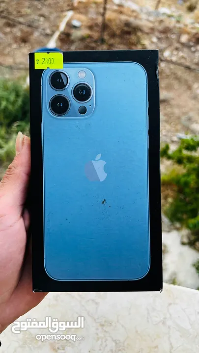 iphone 13 pro max 1000gb