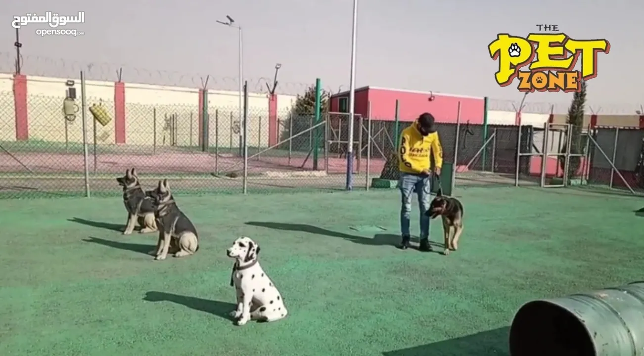 حمم كلبك بهالصيف