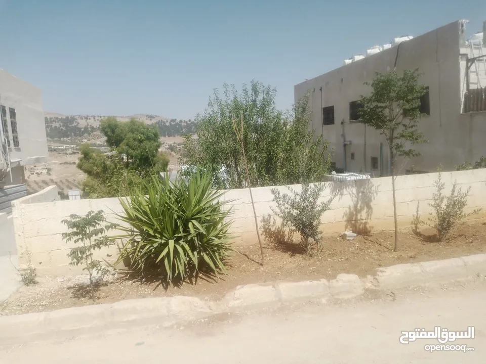 منزل مستقل جرش اسكان عجرمه  3غرف نوم 2حمام  صاله مع مطبخ امريكي  بلكونه  حديقه مساحه الارض 305