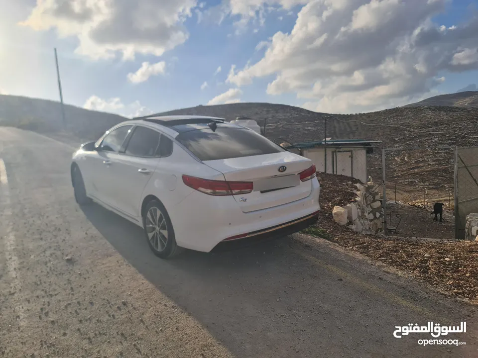 كايا k5 اوبتيما