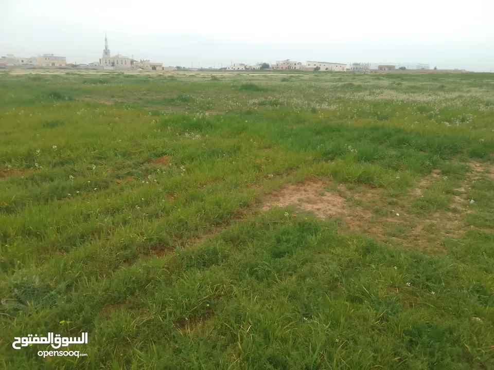 ارض للبيع في اجمل مناطق الرجم الشامي في سحاب