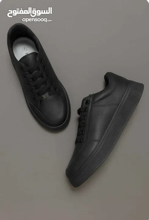 البيع بالجملة فقط