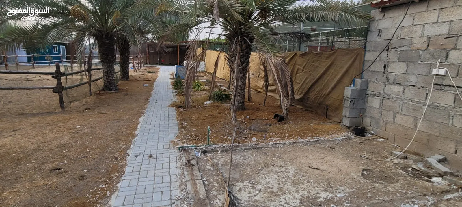 عزبة مميزة للبيع/التنازل لتربيه الخيول في منطقة الزبير - Farm for sale/ concession for growing horse