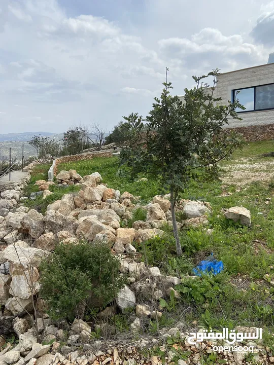 بيت ريفي مع مزرعة