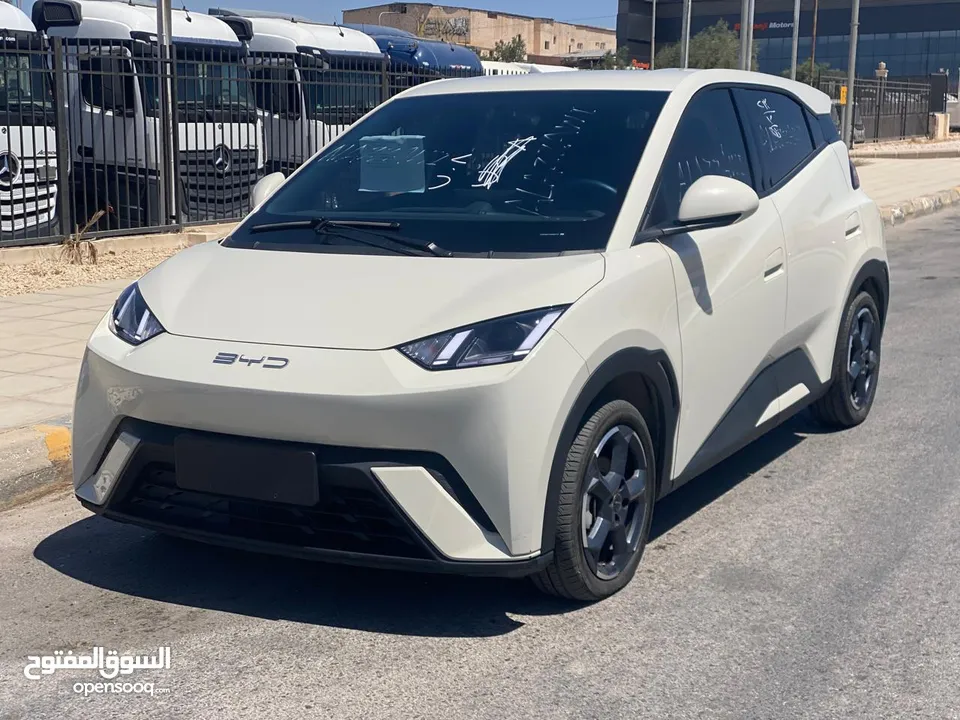 بي واي دي سيجيل 2023 بطارية 305