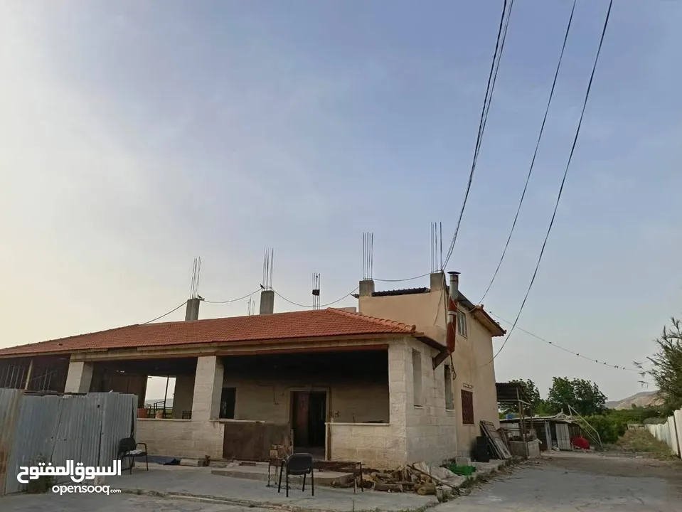 مزرعه مثمره للبيع