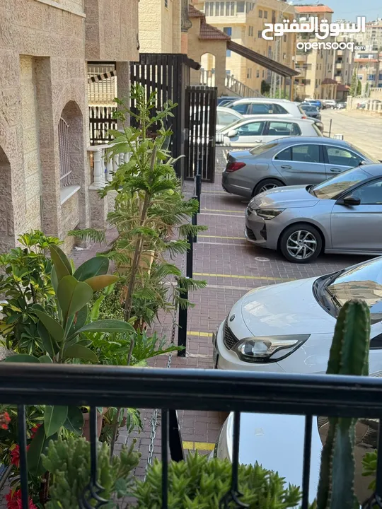 شقة مفروشة / الماصيون