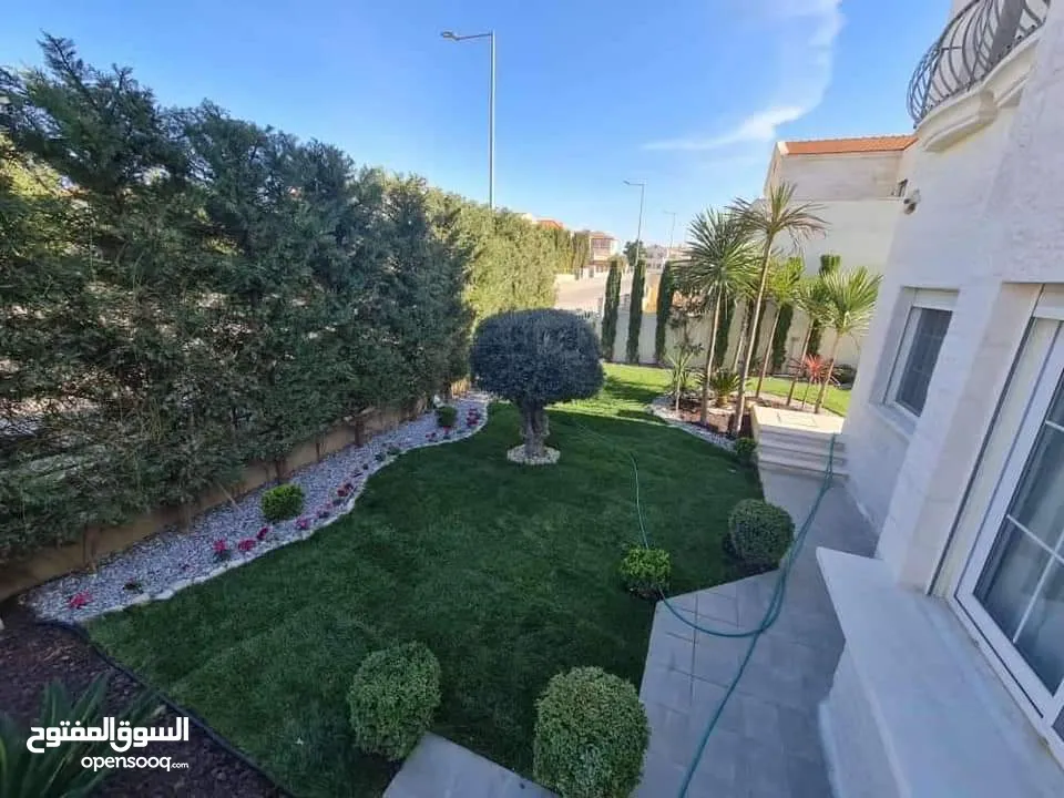 جميع أنواع الأشجار ( أشجار زينة - أشجار مثمرة )