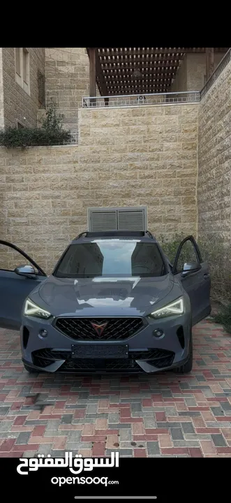 كوبرا فورمينتو للبيع كاش سعر حرق بسبب الاوضاع