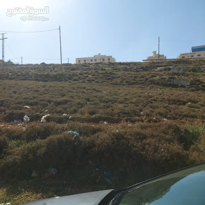 قطعه ارض للبيع مساحه 793 متر مربع  في عمان - ناعور - وادي الكبرا خلف محطه السلام طريق البحر الميت