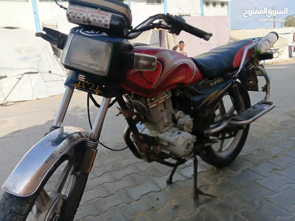 فزبة ضبعة 2016