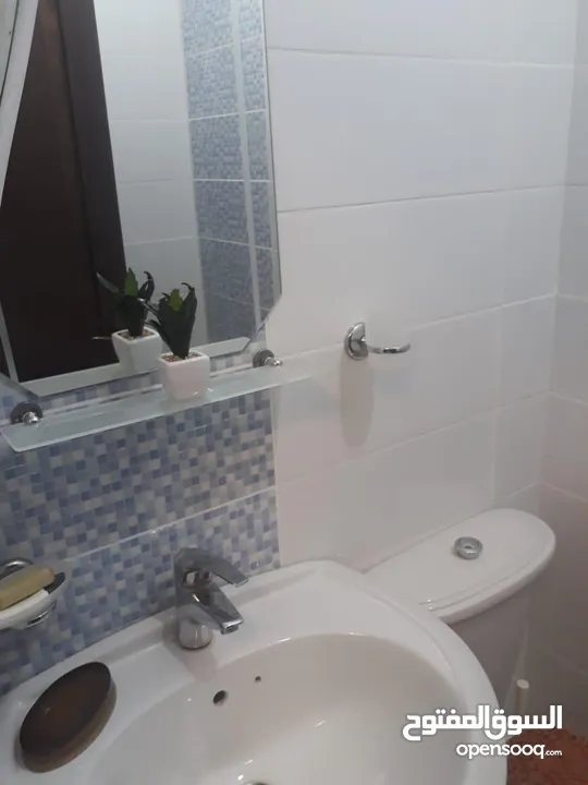 Fully Furnished Villa for rent
