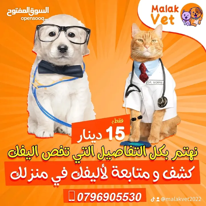 خدمات بيطرية متكاملة للحيوانات الاليفة