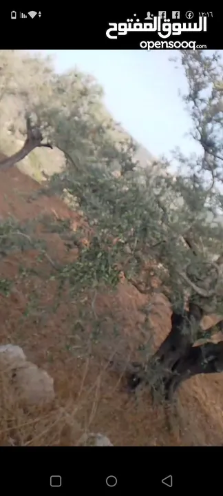 قطعة لرض للبيع