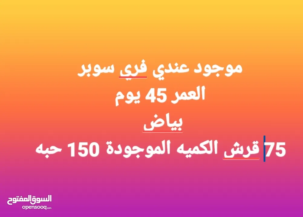 موجود عندي فري سوبر  العمر 45 يوم  بياض    الكميه الموجودة 150 حبه