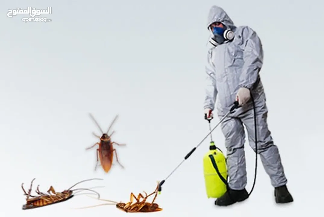 مكافحة الصراصير والرمه وبق الفراش مهندس خبره متخصص بمكافحة جميع انواع الحشرات ضمان واسعارنا ممتازه