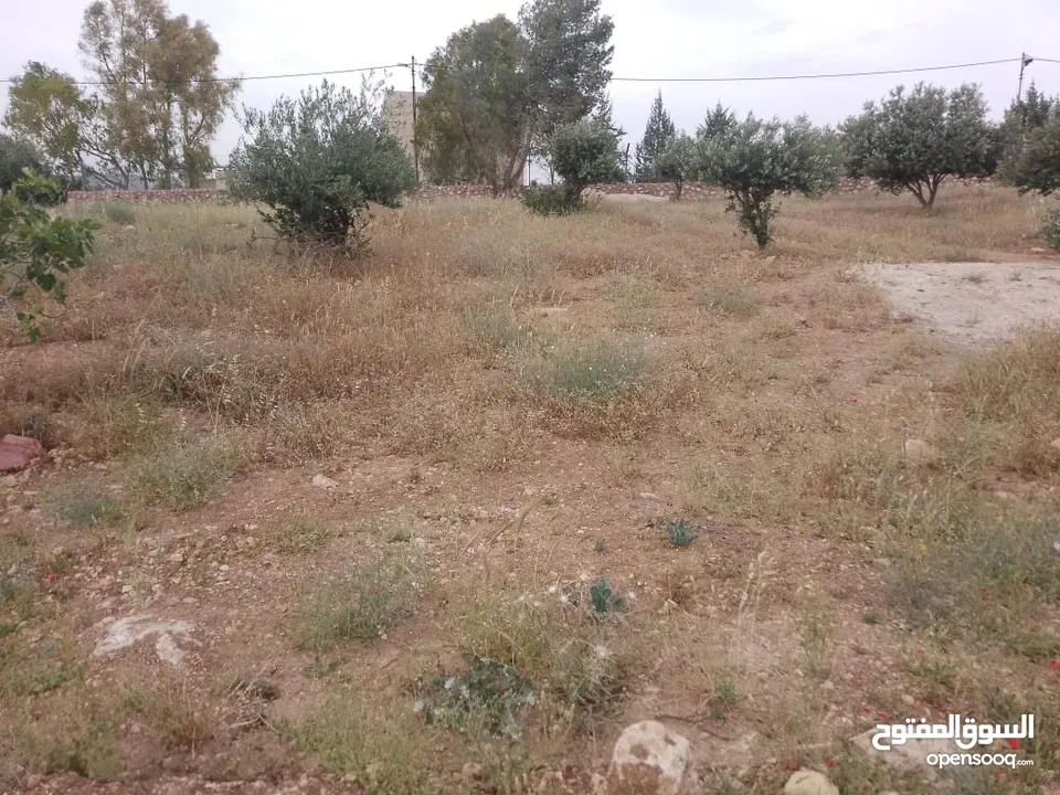 أرض ذات إطلالة خلابة في أجمل مناطق جرش