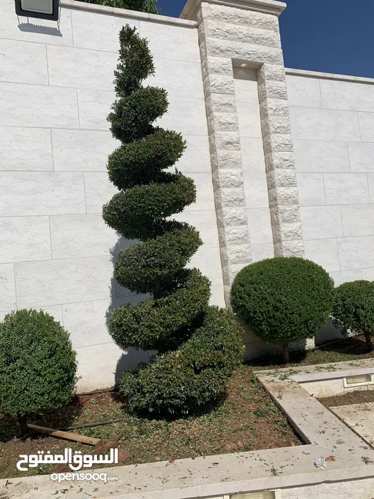 فني تنسيق حدائق