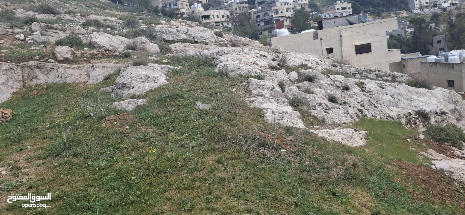 فرز جديد أجمل ارض في عجلون مرتفعه على جبل ومطله على جبال عجلون لغايات السكن / فلل / اسكانات