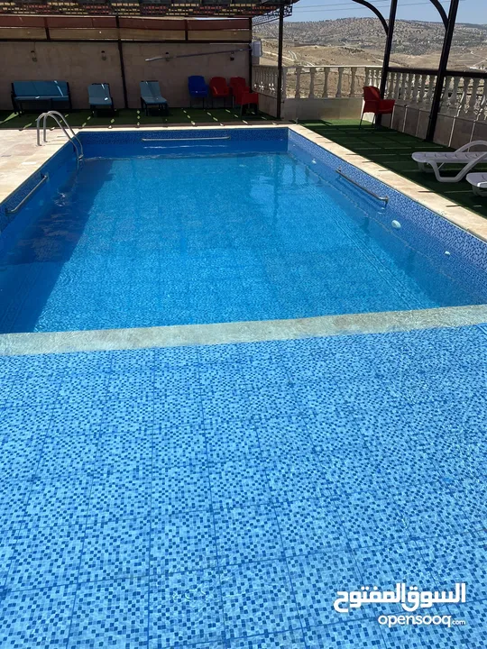 مزرعة ابو احمد البلوطي