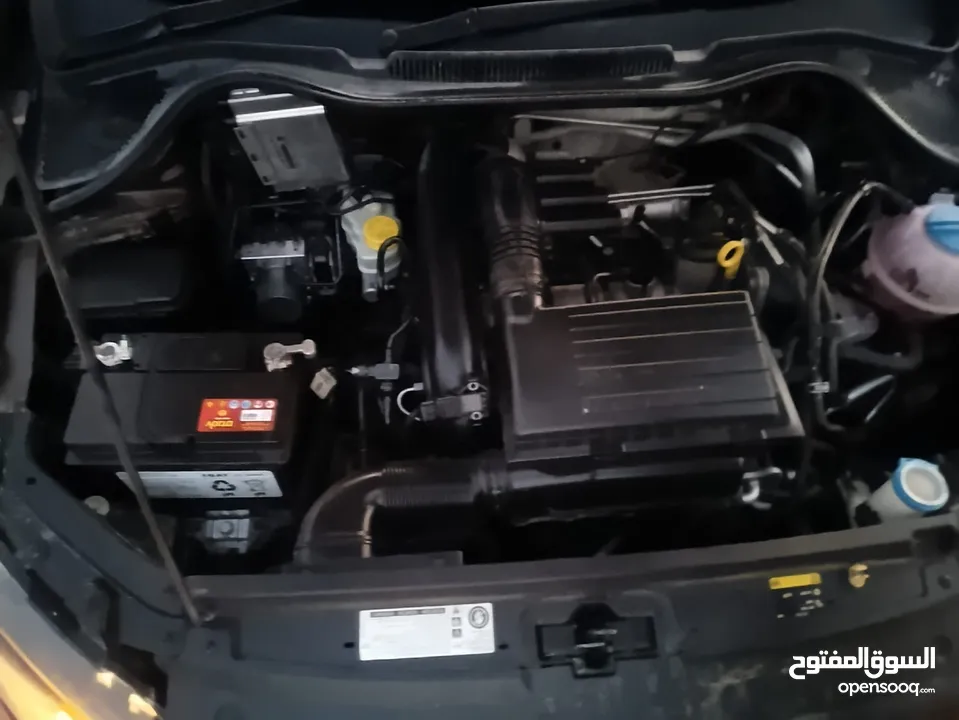 بولو تحفة و فحص