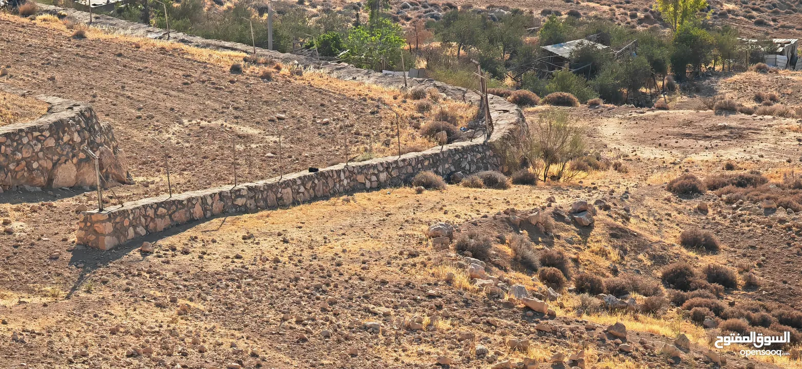 ارض زاعي سكني فلل