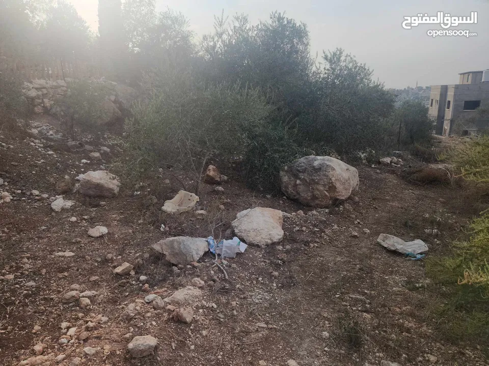 حصة 700 متر بالمسقوفة